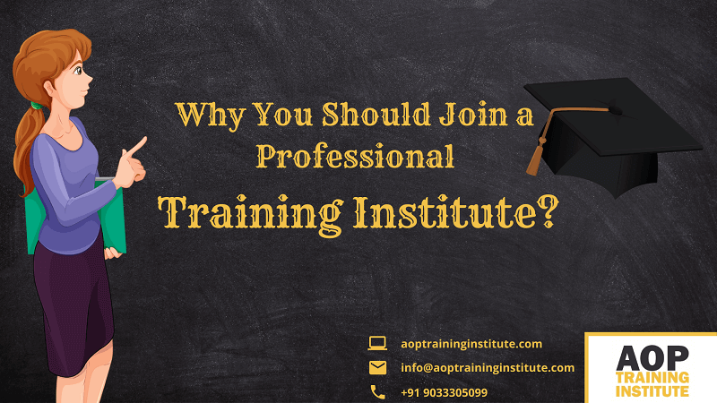 5 Reasons Why You Should Join a Professional Training Institute?